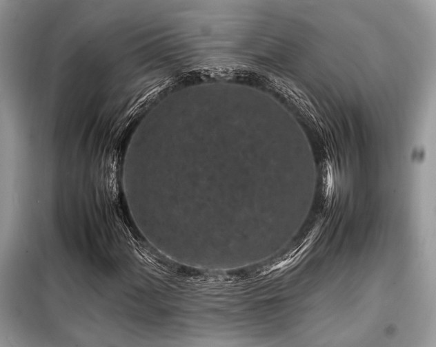 X0000099571060200805161511