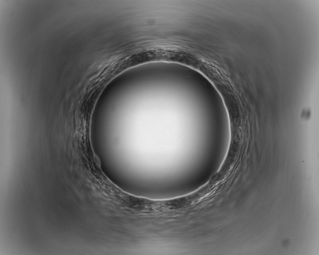 X0000099571061200805161511