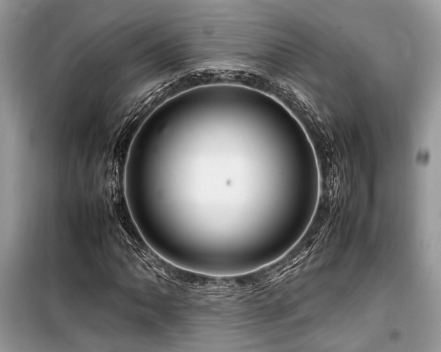 X0000099571062200805161511
