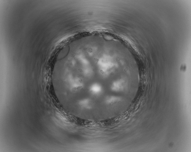 X0000099571063200805161511