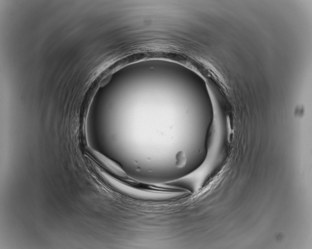 X0000099571065200805161511