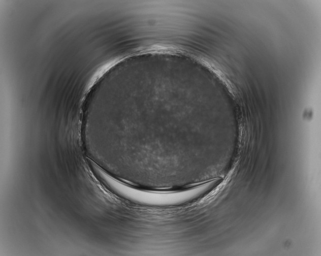 X0000099571066200805161511