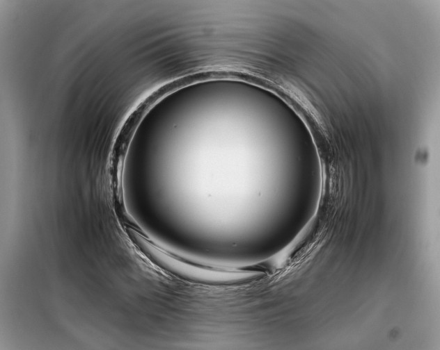 X0000099571068200805161511