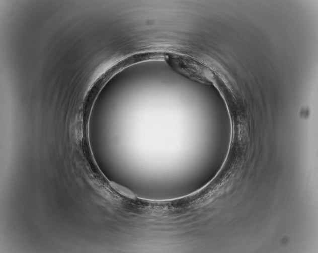 X0000099571069200805161511