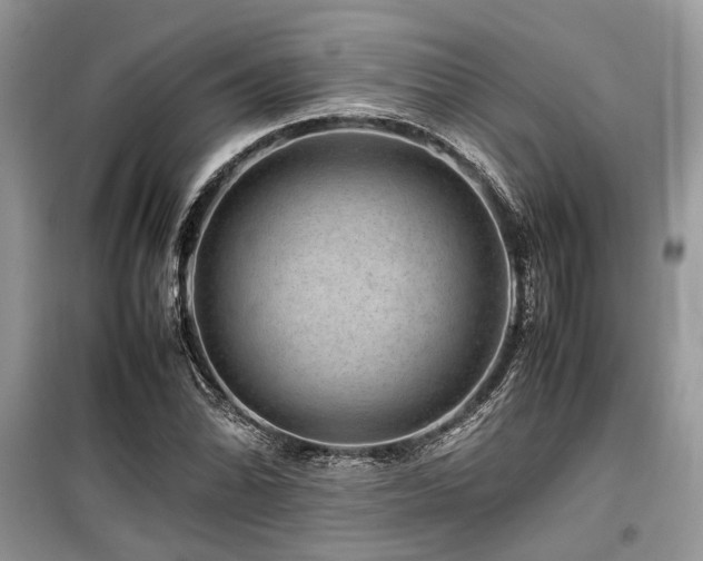 X0000099571070200805161511