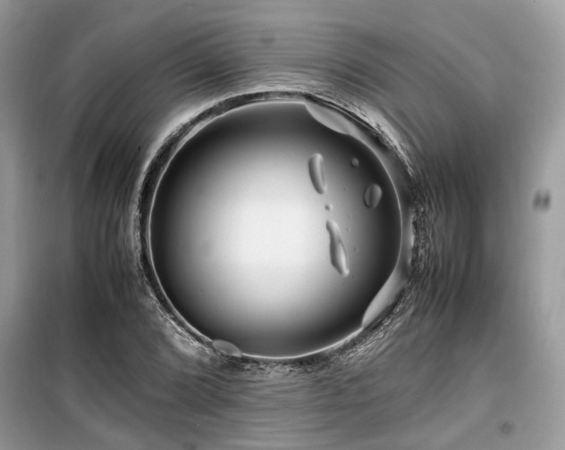 X0000099571072200805161511