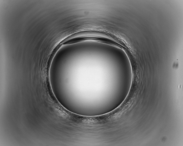 X0000099571073200805161511
