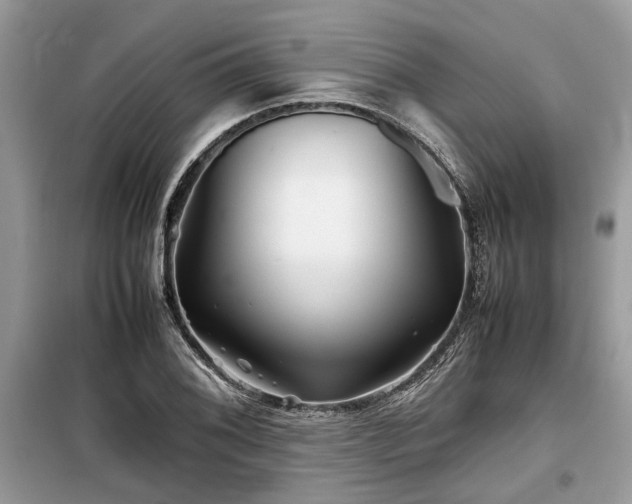 X0000099571076200805161511