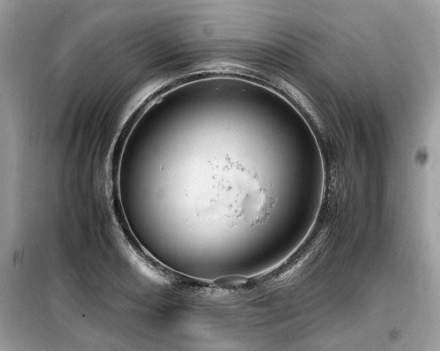 X0000099571082200805161511