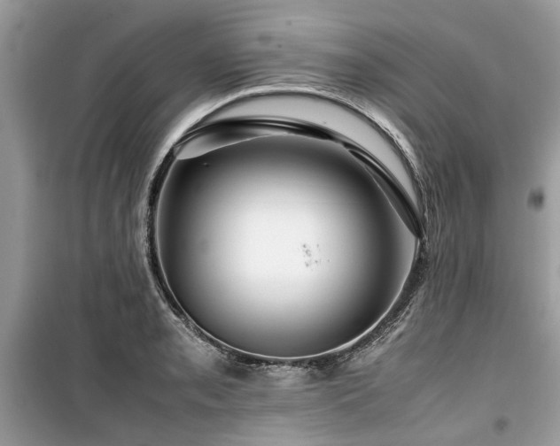 X0000099571085200805161511