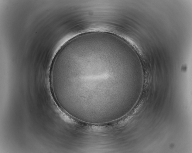 X0000099571086200805161511