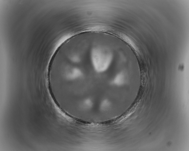 X0000099571087200805161511