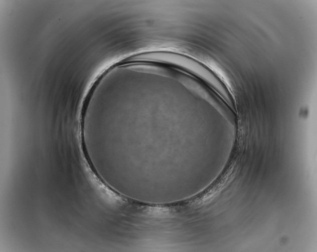 X0000099571088200805161511