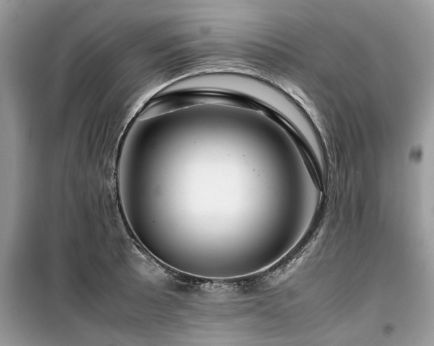 X0000099571089200805161511