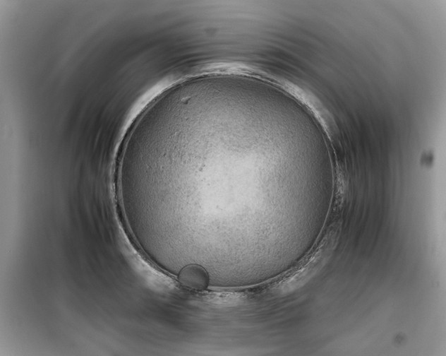 X0000099571090200805161511