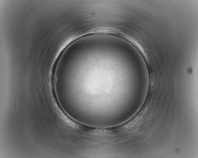 X0000099571091200805161511