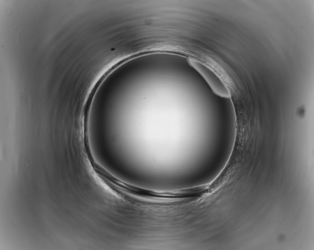 X0000099571092200805161511