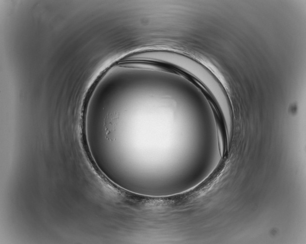 X0000099571093200805161511
