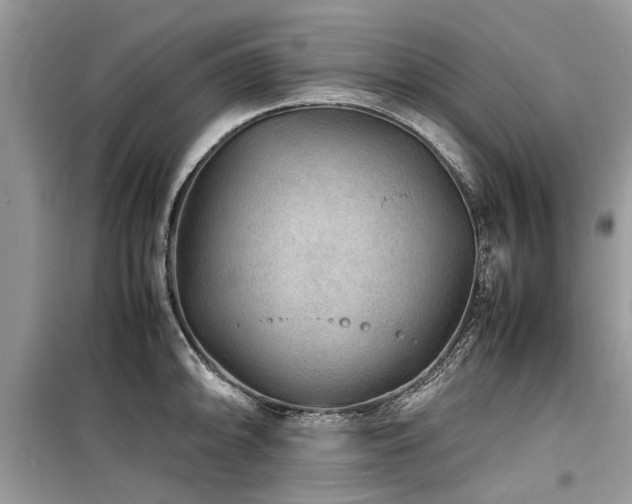 X0000099571094200805161511