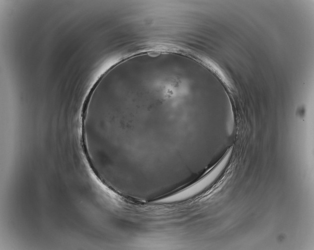 X0000099571095200805161511