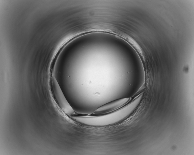 X0000099571096200805161511