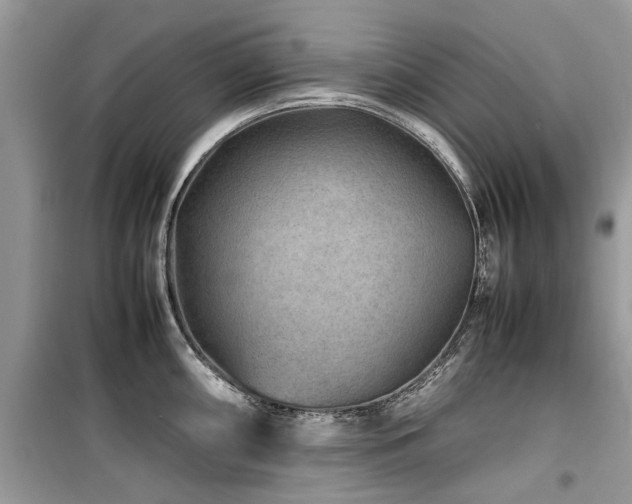 X0000099571098200805161511