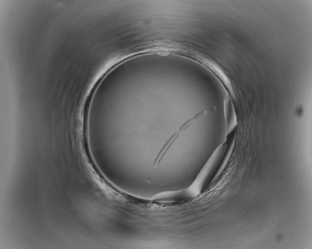 X0000099571099200805161511