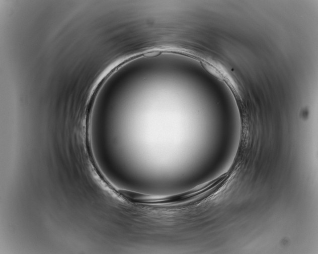 X0000099571100200805161511