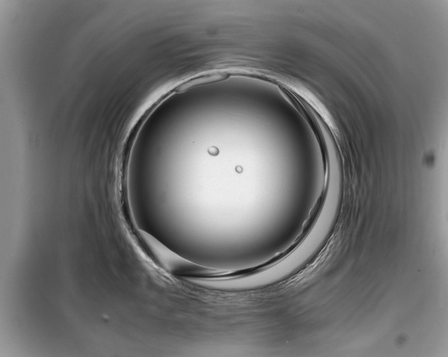 X0000099571101200805161511