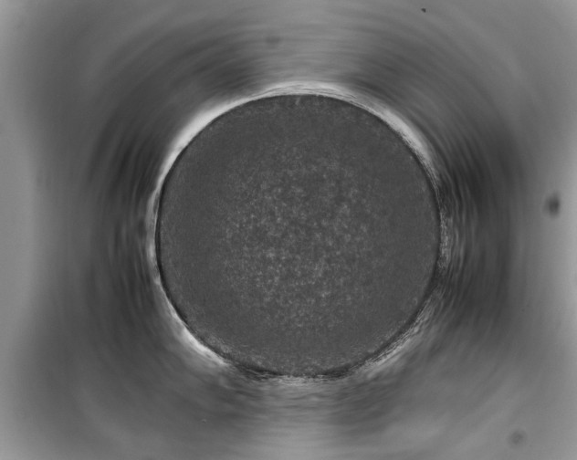 X0000099571102200805161511
