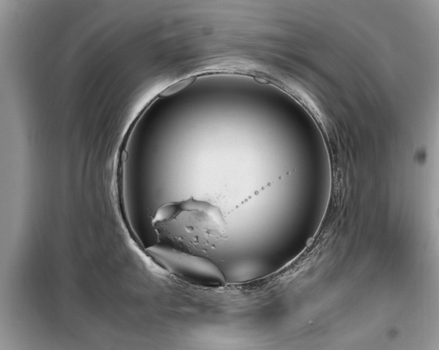 X0000099571103200805161511