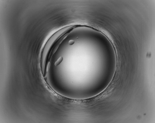 X0000099571104200805161511