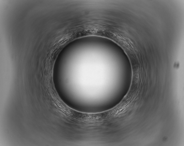 X0000099571105200805161510