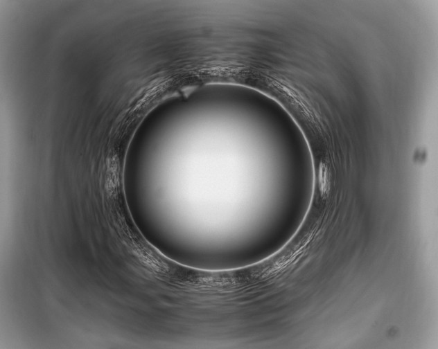 X0000099571107200805161510