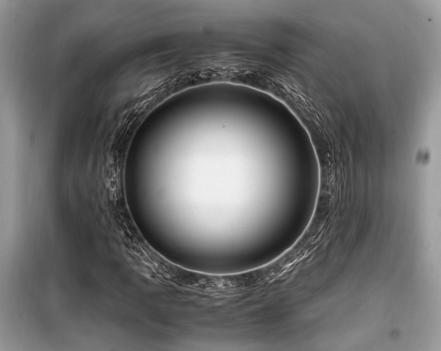 X0000099571109200805161510