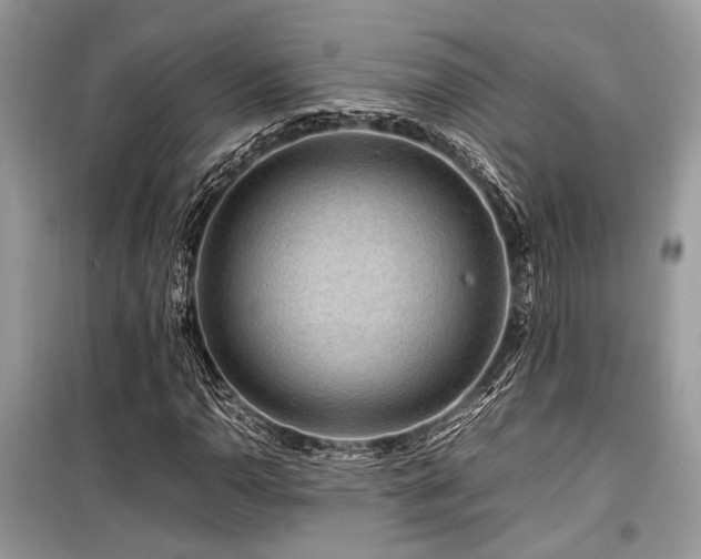 X0000099571110200805161510