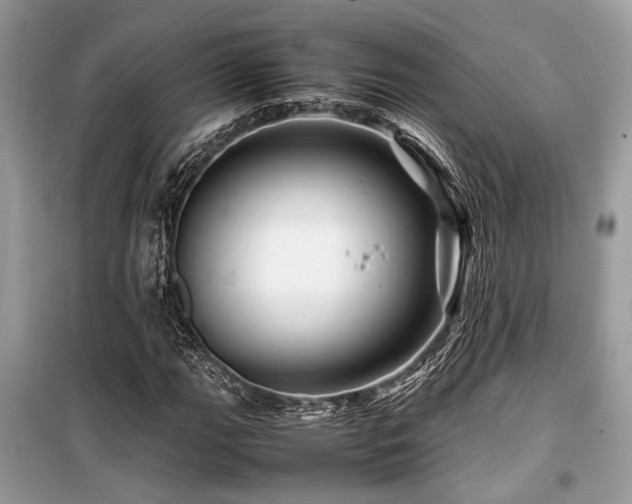 X0000099571111200805161510
