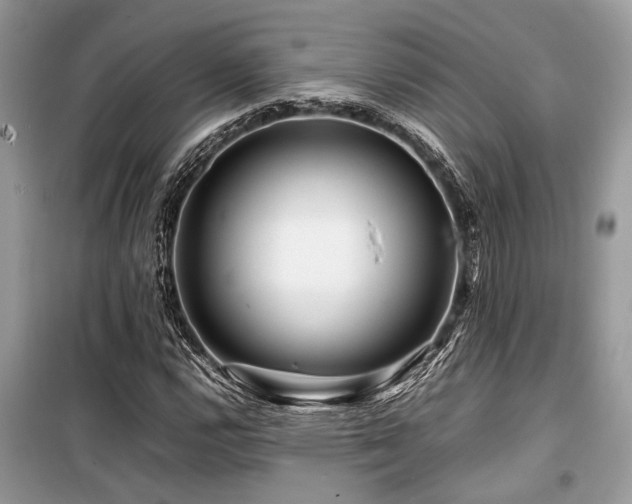 X0000099571112200805161510