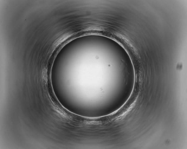 X0000099571113200805161510