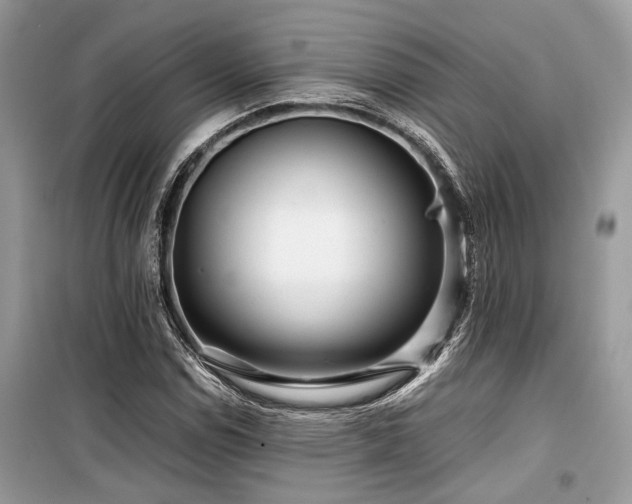 X0000099571114200805161510