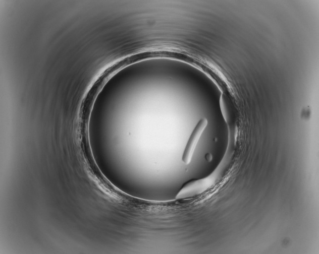 X0000099571116200805161510