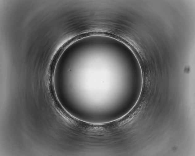 X0000099571119200805161510