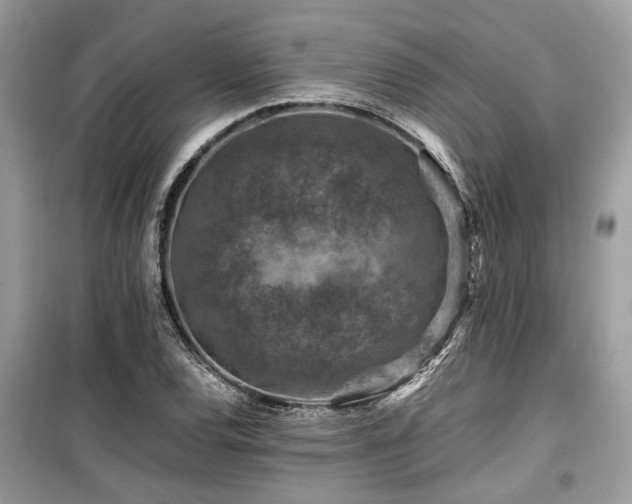 X0000099571120200805161510