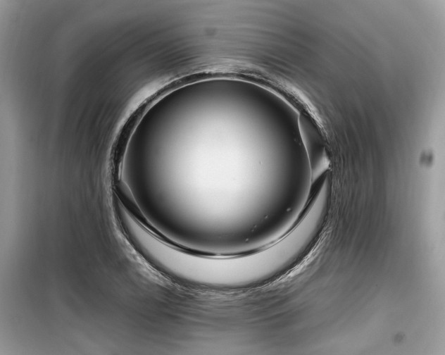 X0000099571122200805161510