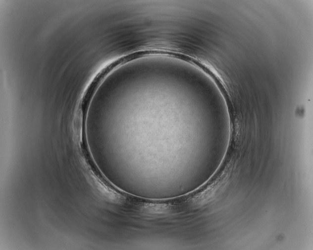 X0000099571123200805161510