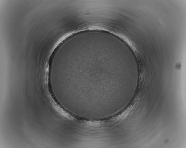 X0000099571126200805161510
