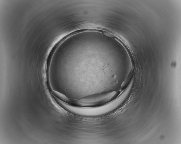 X0000099571128200805161510