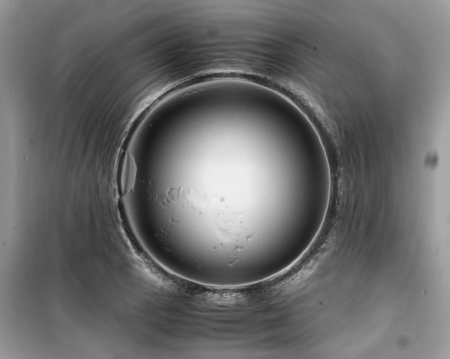 X0000099571129200805161510