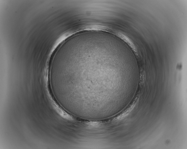 X0000099571130200805161510