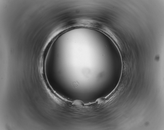 X0000099571131200805161510